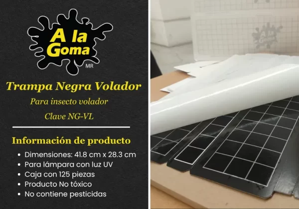 Trampa Negra Volador Para insecto volador CAJA CON 125 PIEZAS