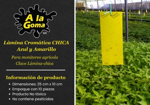 Lámina Cromática CHICA Para monitoreo agrícola EMPAQUE CON 10 PIEZAS