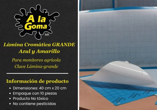 Lámina Cromática GRANDE Para monitoreo agrícola EMPAQUE CON 10 PIEZAS